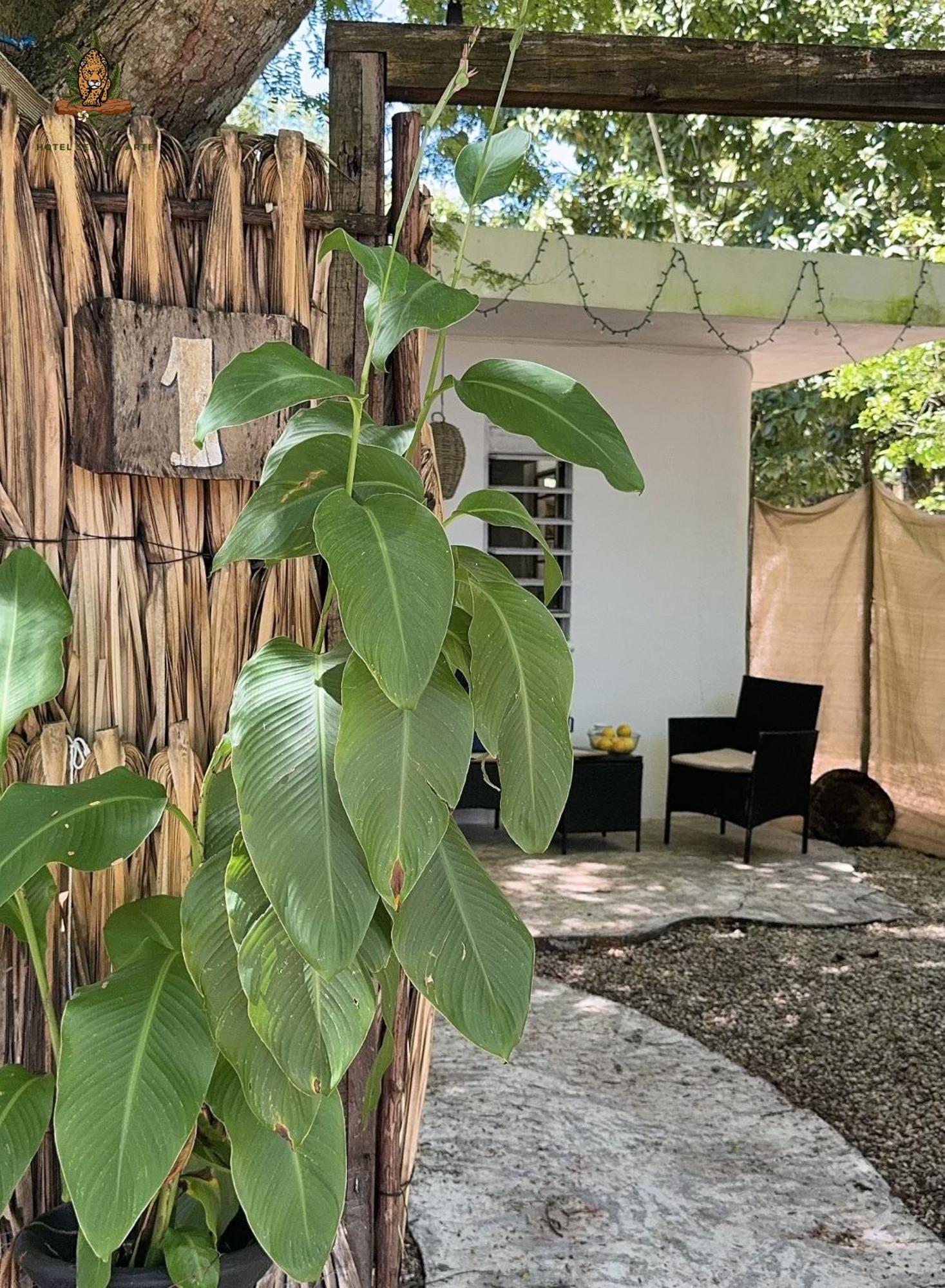 Hotel Selva Bacalar - Free Bike Rental Esterno foto