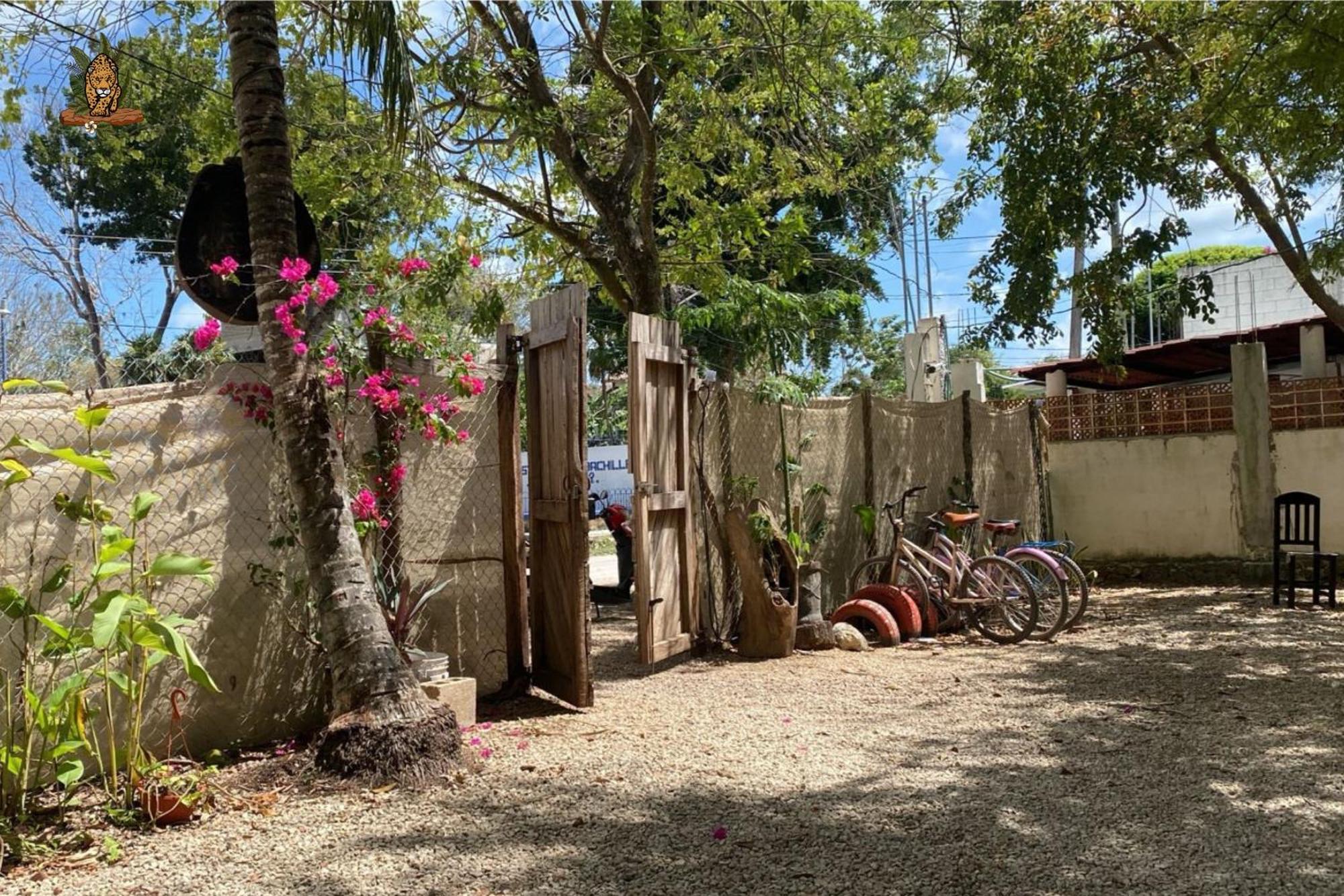 Hotel Selva Bacalar - Free Bike Rental Esterno foto